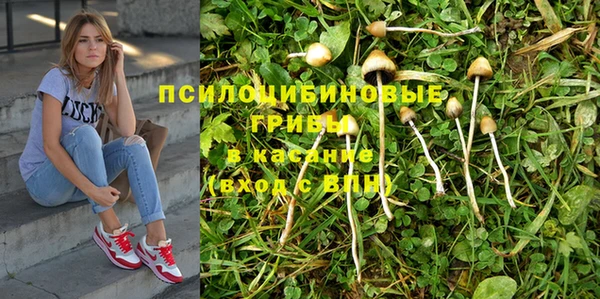 марки nbome Алзамай
