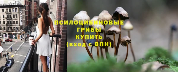 a pvp Алексин