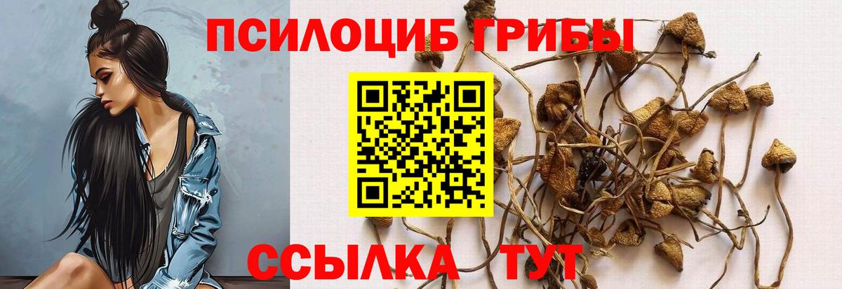Галлюциногенные грибы Magic Shrooms  Вход с VPN  Алексеевка 