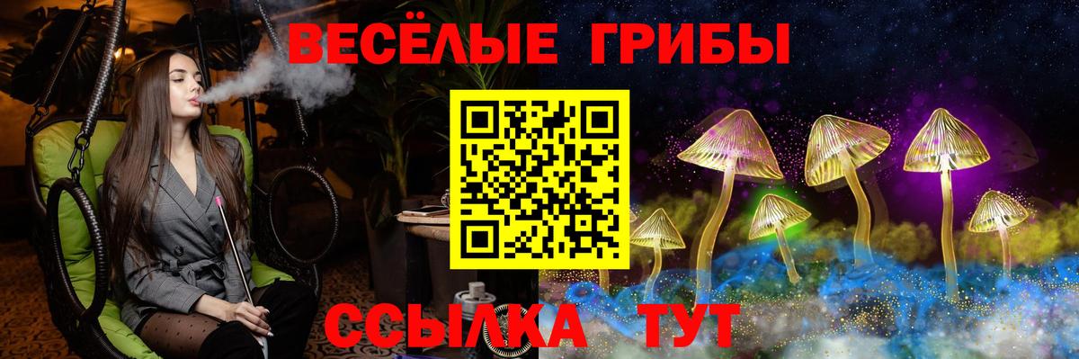 Галлюциногенные грибы ЛСД Алексеевка